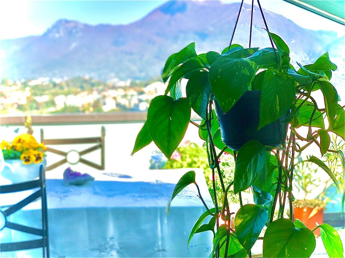 Zora'S B&B Lugano Kültér fotó